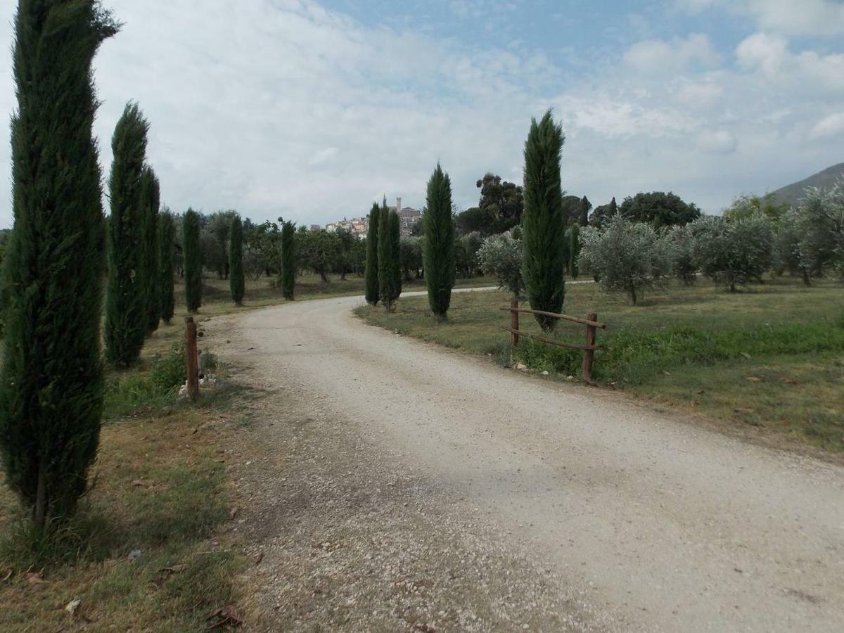 Agriturismo Cento Ducati Palombara Sabina ภายนอก รูปภาพ