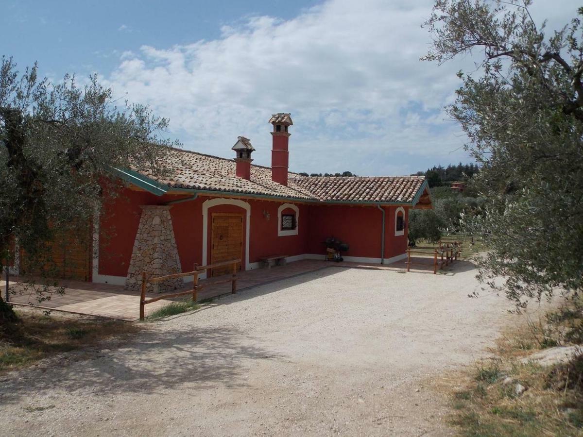 Agriturismo Cento Ducati Palombara Sabina ภายนอก รูปภาพ